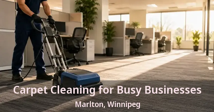 Carpet Cleaning for Busy Businesses Marlton, Winnipeg - MB