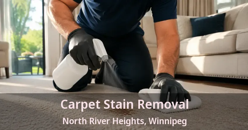 Carpet Stain Removal North River Heights, Winnipeg - MB