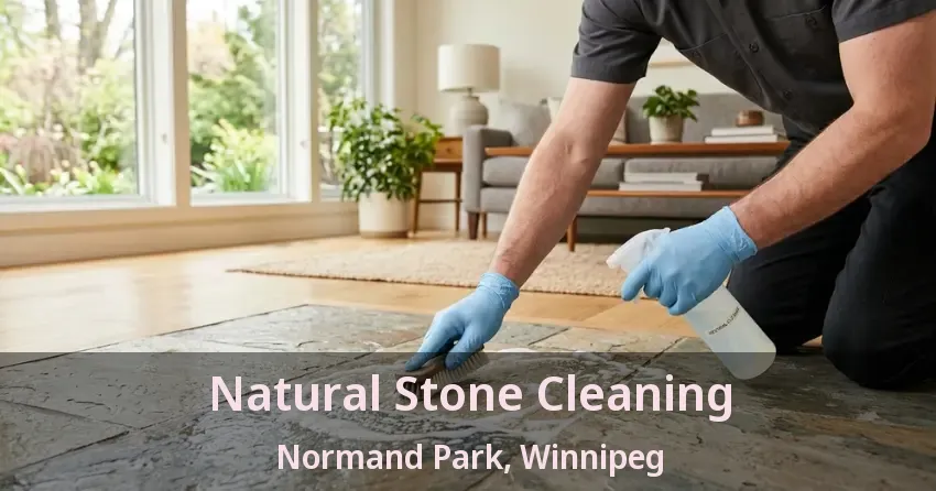 Natural Stone Cleaning Normand Park, Winnipeg - MB