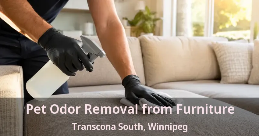 Pet Odor Removal from Furniture Transcona South, Winnipeg - MB
