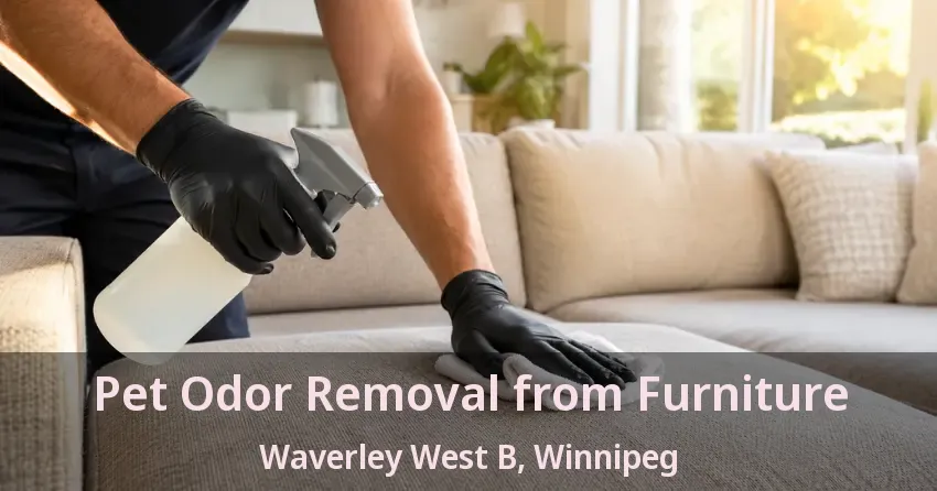 Pet Odor Removal from Furniture Waverley West B, Winnipeg - MB