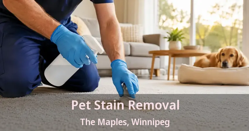 Pet Stain Removal The Maples, Winnipeg - MB