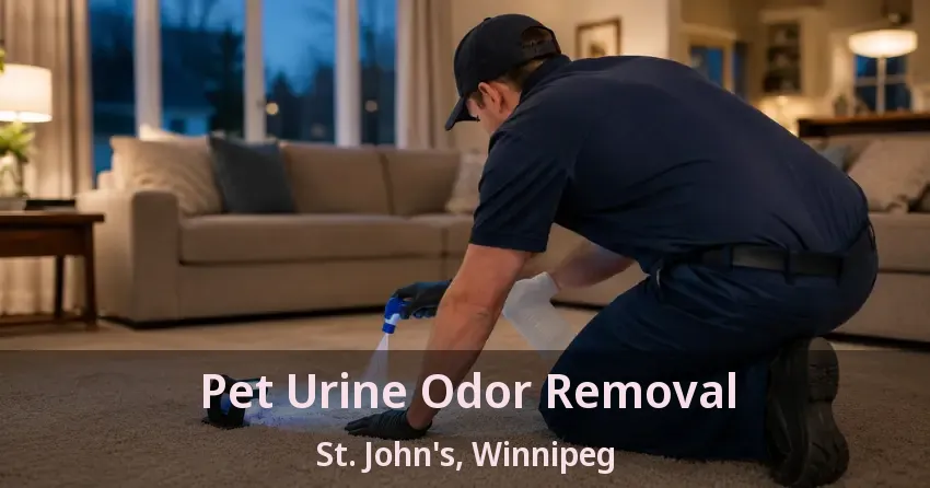 Pet Urine Odor Removal St. John's, Winnipeg - MB