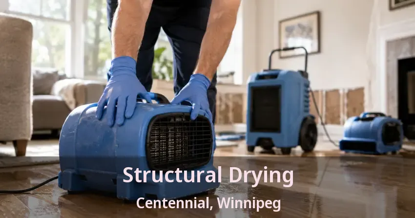 Structural Drying Centennial, Winnipeg - MB